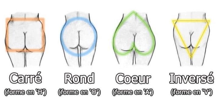 fesses formes