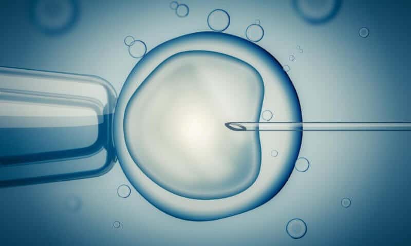 in-vitro-don-ovule